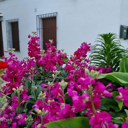 Casa Francisca En El Casco Antiguo Vila Vejer de la Frontera Exterior foto