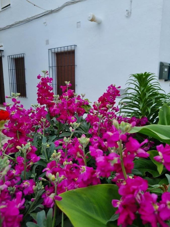 Casa Francisca En El Casco Antiguo Vila Vejer de la Frontera Exterior foto